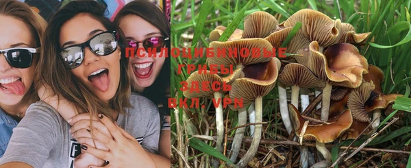 винт Струнино