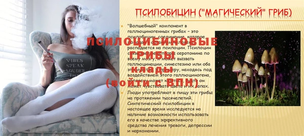 МДПВ Каменск-Шахтинский